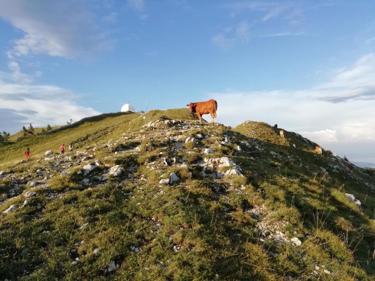 Cahute De Montagne Pour Profiter Du Haut Jura Prémanon Eksteriør billede
