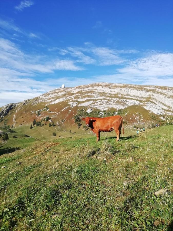 Cahute De Montagne Pour Profiter Du Haut Jura Prémanon Eksteriør billede